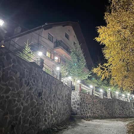 Pensiunea Joe Paltinis Bagian luar foto