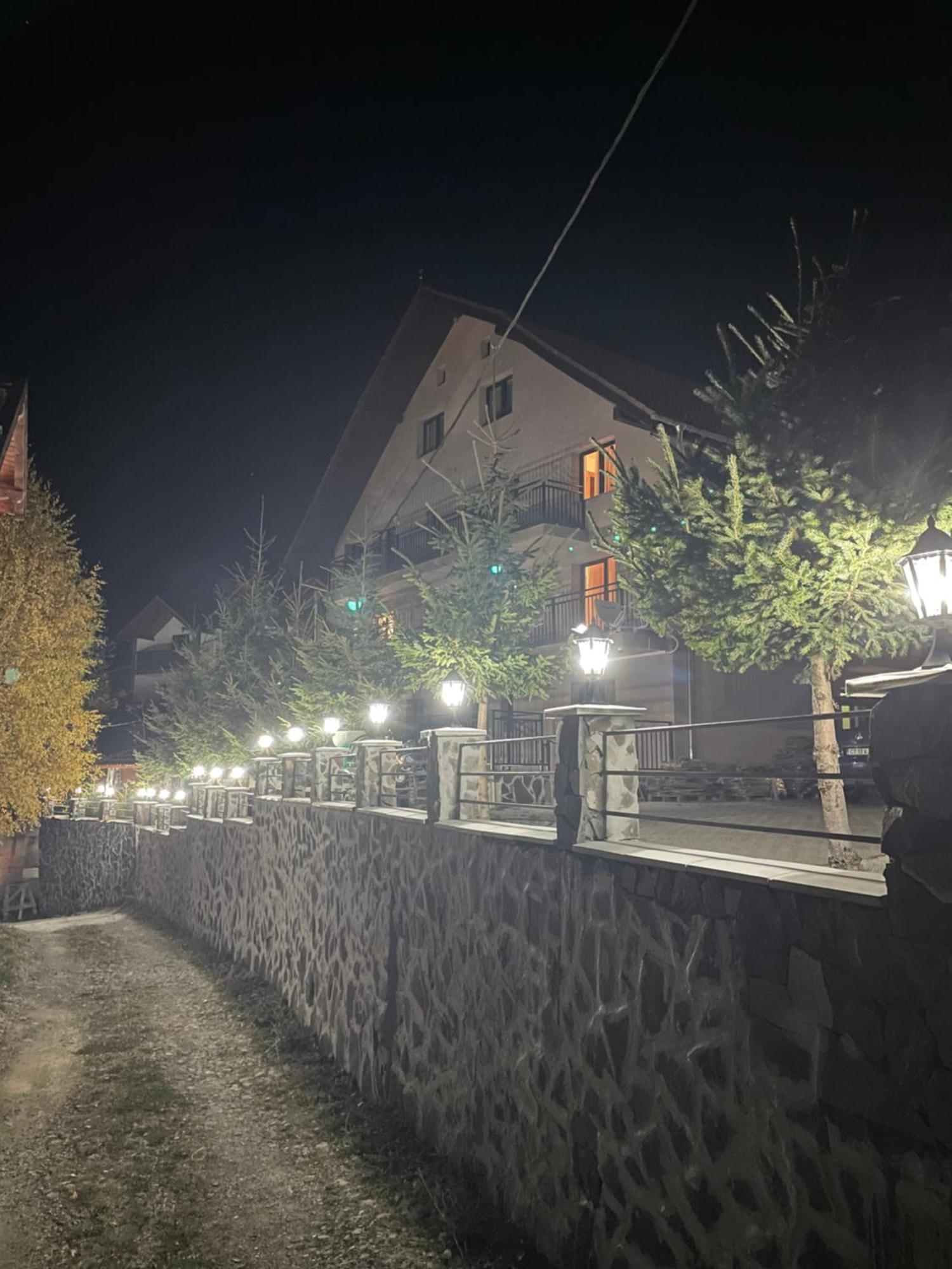 Pensiunea Joe Paltinis Bagian luar foto