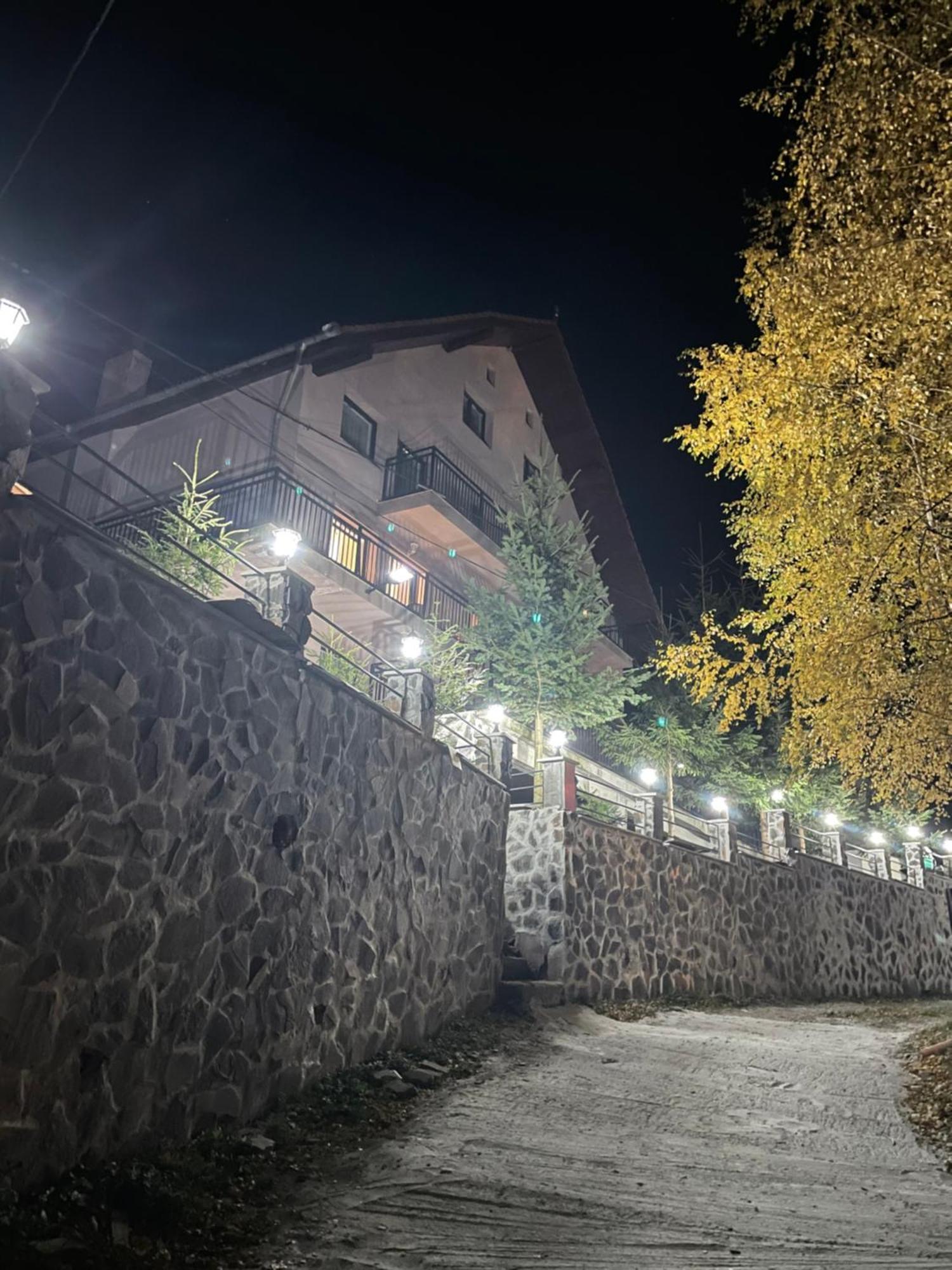 Pensiunea Joe Paltinis Bagian luar foto